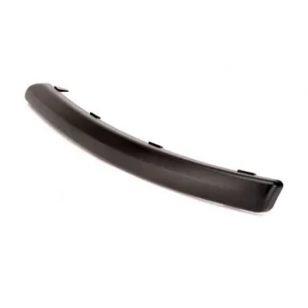 Baguette et bande protectrice, pare-chocs avant gauche BLIC 5703-05-2555925P