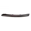 Baguette et bande protectrice, pare-chocs avant gauche BLIC 5703-05-2555925P - Visuel 3