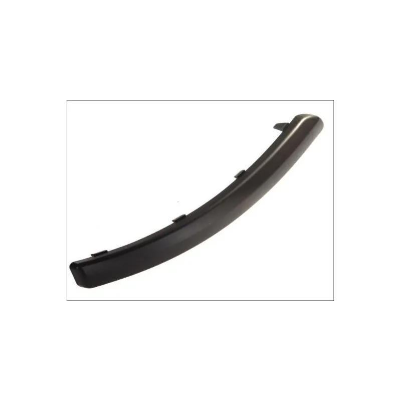 Baguette et bande protectrice, pare-chocs avant droit BLIC 5703-05-2555926P