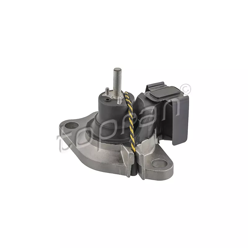 Support moteur TOPRAN 700 529