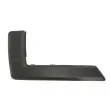 Baguette et bande protectrice, pare-chocs avant droit BLIC 5703-05-2576922P - Visuel 1