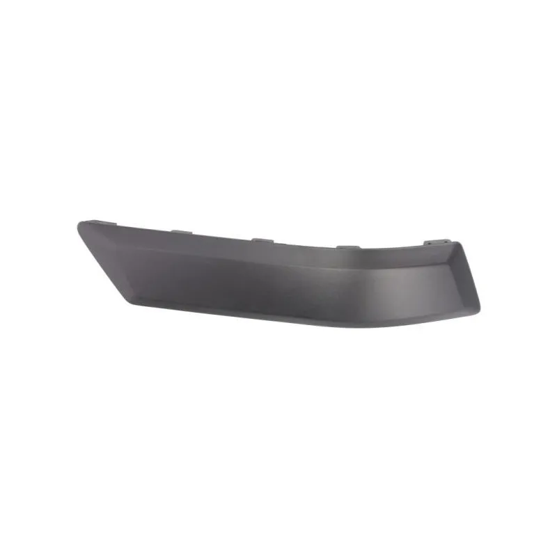 Baguette et bande protectrice, pare-chocs arrière gauche BLIC 5703-05-2576975P
