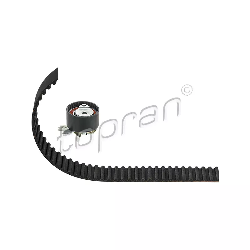 Kit de distribution TOPRAN 700 785