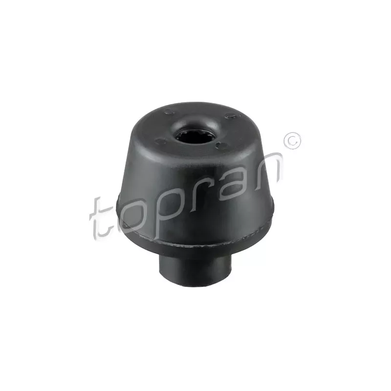 Suspension, radiateur TOPRAN 700 812