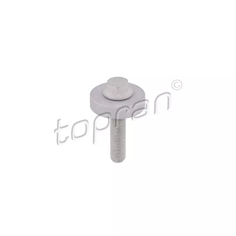 Boulon de poulie TOPRAN 701 418