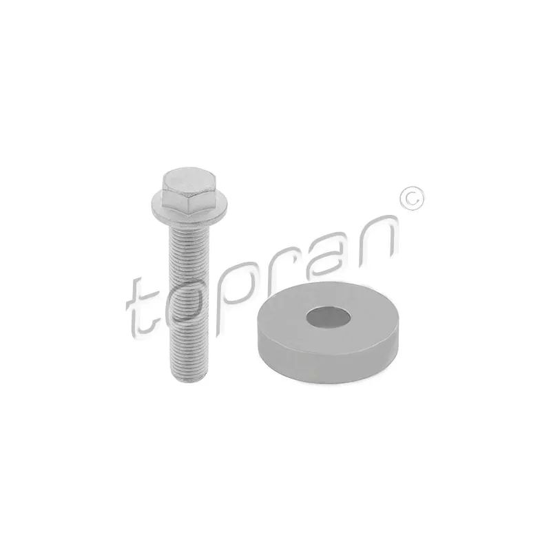 Boulon de poulie TOPRAN 701 519