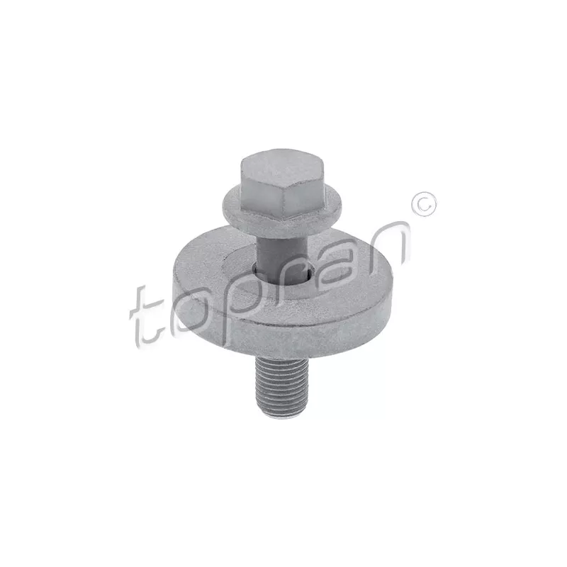 Boulon de poulie TOPRAN 701 614