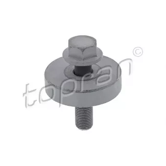 Boulon de poulie TOPRAN 701 616