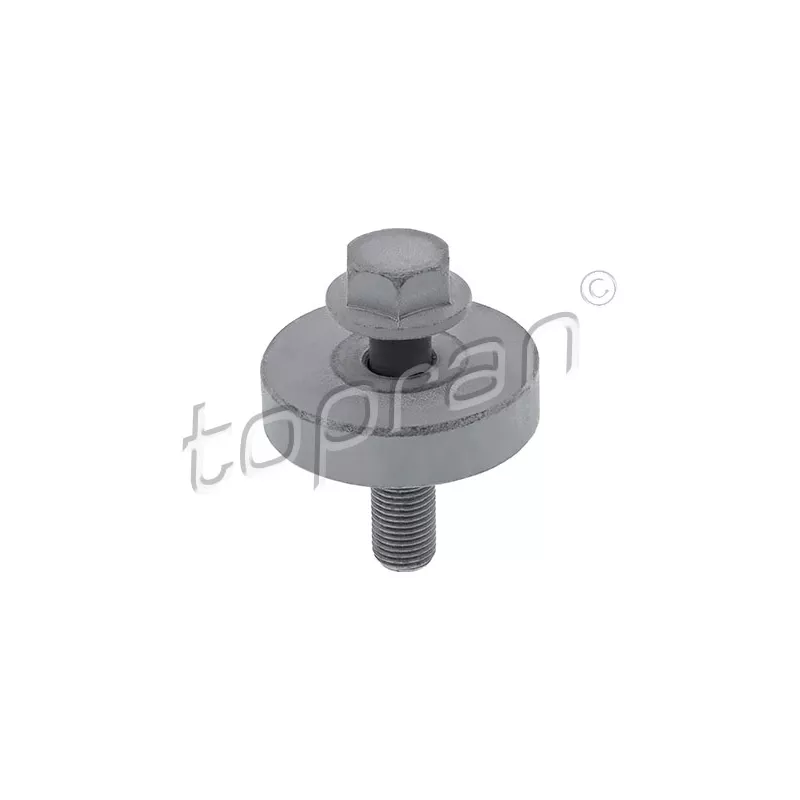 Boulon de poulie TOPRAN 701 616