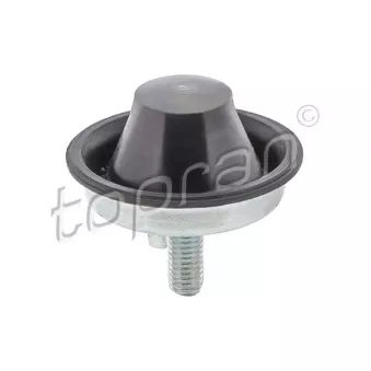 Support moteur avant droit TOPRAN 720 471