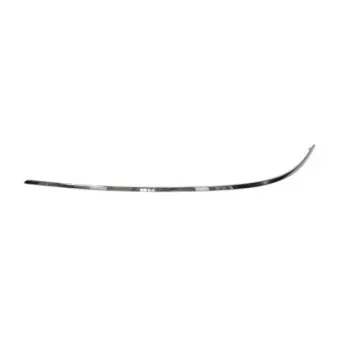 Baguette et bande protectrice, pare-chocs avant gauche BLIC 5703-05-3529921P