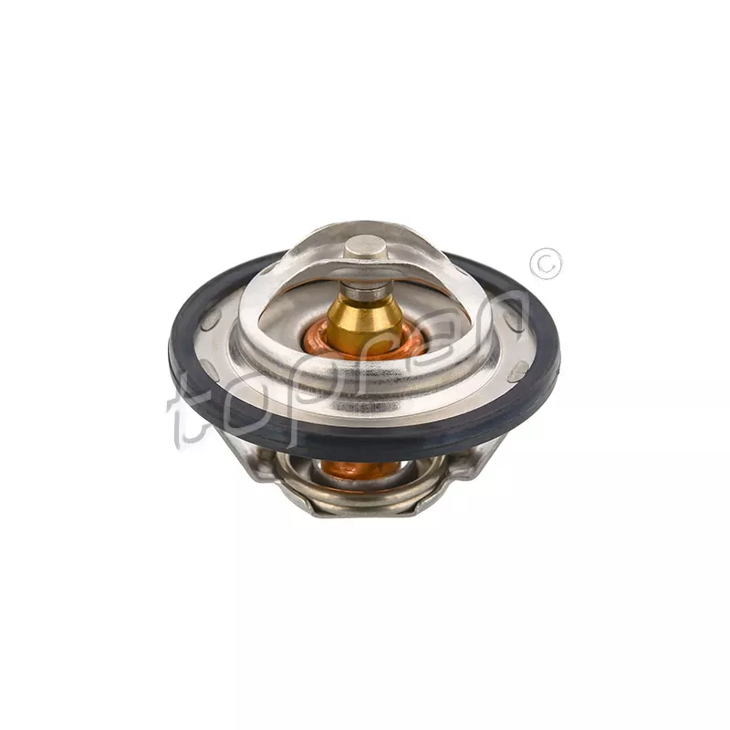 Thermostat d'eau TOPRAN 721 709