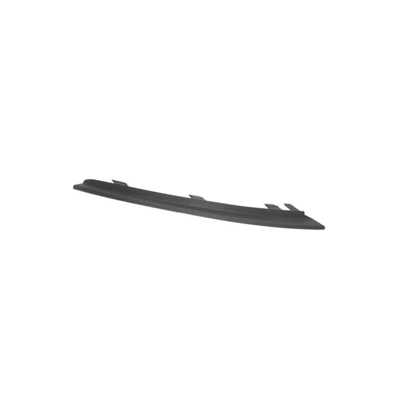 Baguette et bande protectrice, pare-chocs avant gauche BLIC 5703-05-5025921Q