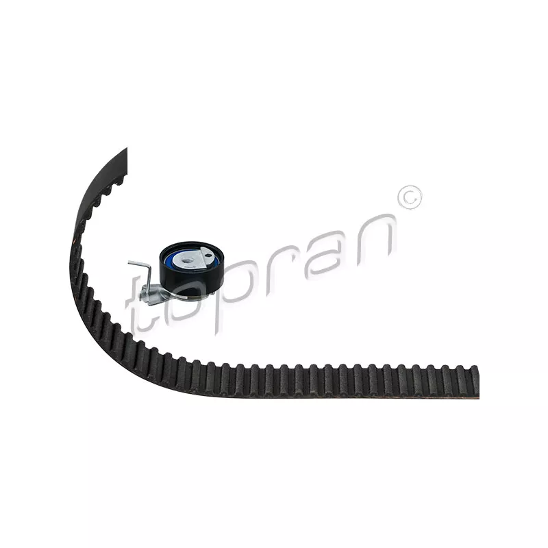 Kit de distribution TOPRAN 723 243