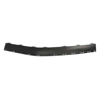 Baguette et bande protectrice, pare-chocs avant gauche BLIC 5703-05-5536923P