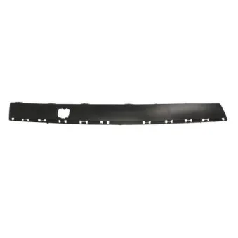 Baguette et bande protectrice, pare-chocs avant droit BLIC 5703-05-5536924P
