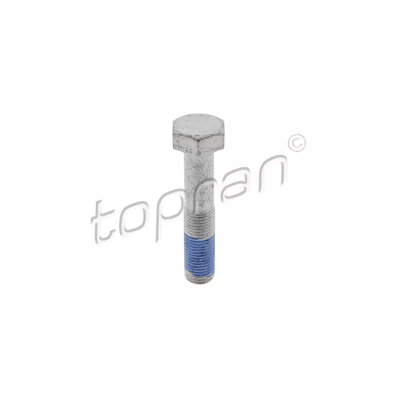 Boulon de poulie TOPRAN 723 934