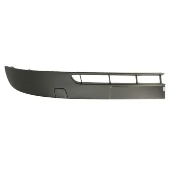 Baguette et bande protectrice, pare-chocs avant droit BLIC 5703-05-6011922P