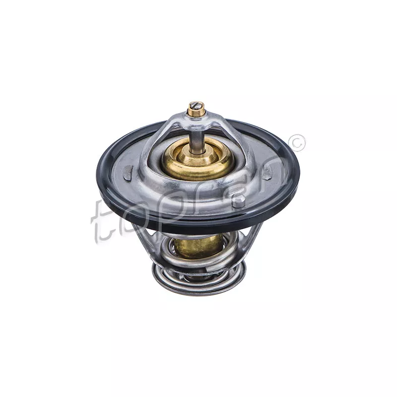 Thermostat d'eau TOPRAN 820 304