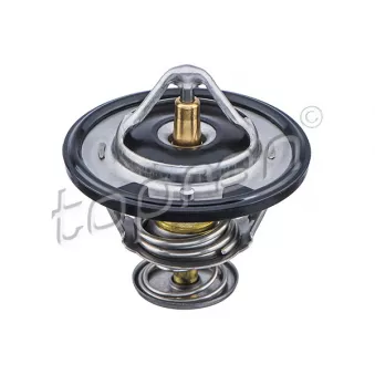 Thermostat d'eau TOPRAN 820 353