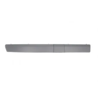 Baguette et bande protectrice, pare-chocs avant droit BLIC 5703-05-6033916P