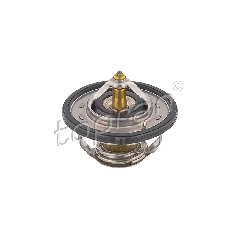 Thermostat d'eau TOPRAN 820 596