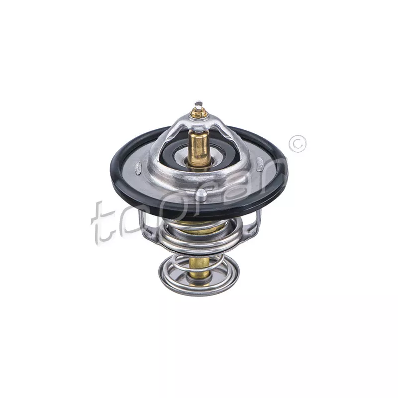 Thermostat d'eau TOPRAN 820 985