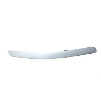 Baguette et bande protectrice, pare-chocs avant droit BLIC 5703-05-8161922P