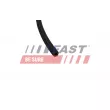 Tuyau, carburant de fuite FAST FT00250 - Visuel 3