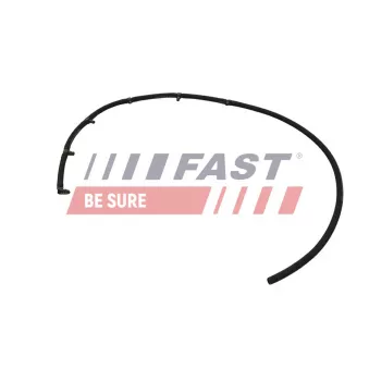 Tuyau, carburant de fuite FAST
