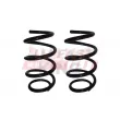 Ressort de suspension FAST FT12230K - Visuel 1
