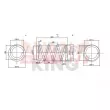 Ressort de suspension FAST FT12230K - Visuel 2