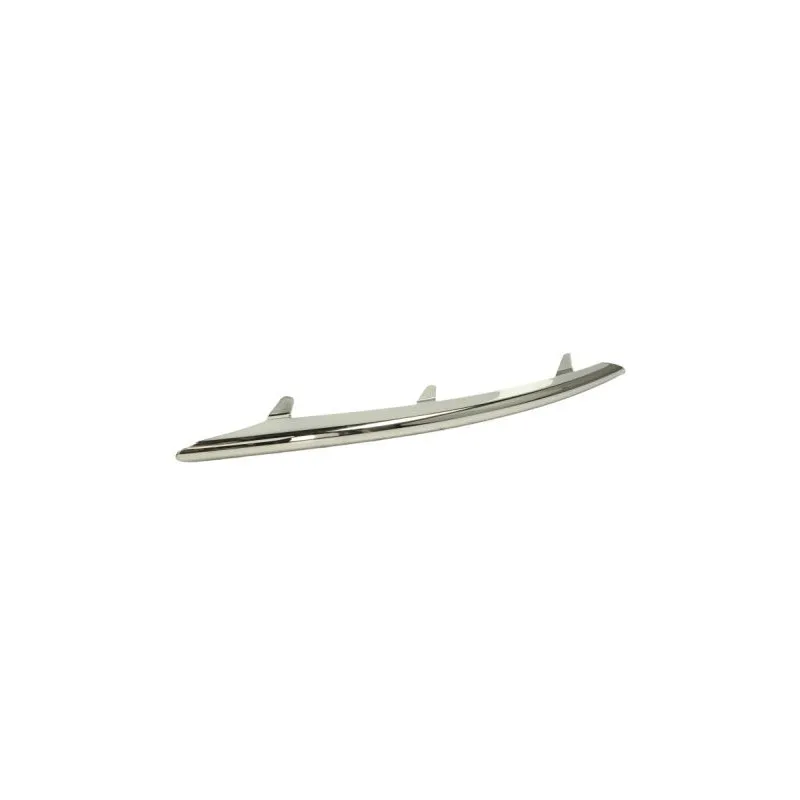Baguette et bande protectrice, pare-chocs avant gauche BLIC 5703-05-9585923P