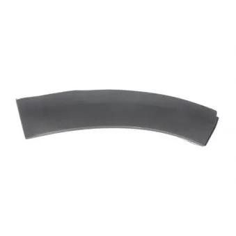 Baguette et bande protectrice, aile avant gauche BLIC 5703-08-1302375P