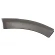 Baguette et bande protectrice, aile avant droit BLIC 5703-08-1302376P - Visuel 1