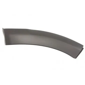 Baguette et bande protectrice, aile avant droit BLIC 5703-08-1302376P