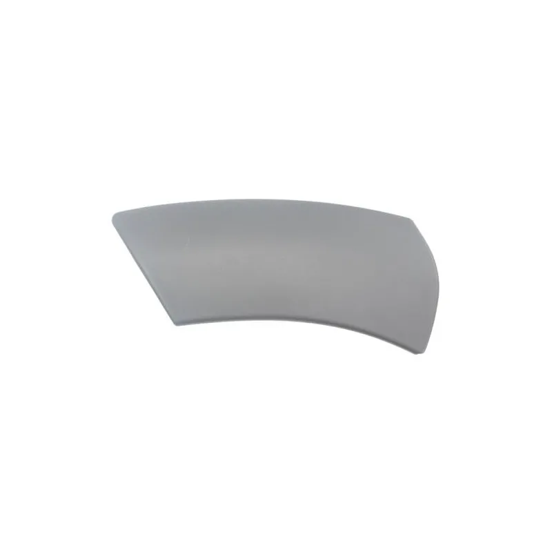 Baguette et bande protectrice, aile avant gauche BLIC 5703-08-1305375P
