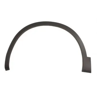 Baguette et bande protectrice, aile avant gauche BLIC 5703-08-1617375Q