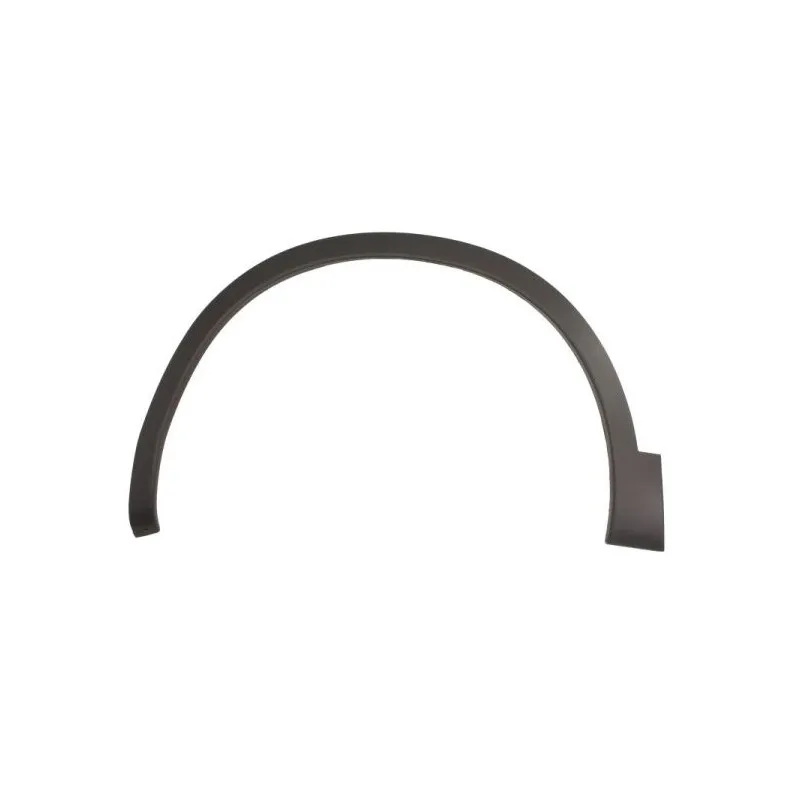 Baguette et bande protectrice, aile avant gauche BLIC 5703-08-1617375Q