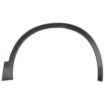Baguette et bande protectrice, aile avant droit BLIC 5703-08-1617376Q