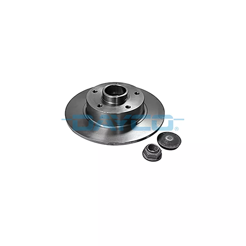Jeu de 2 disques de frein arrière DAYCO KWD013D