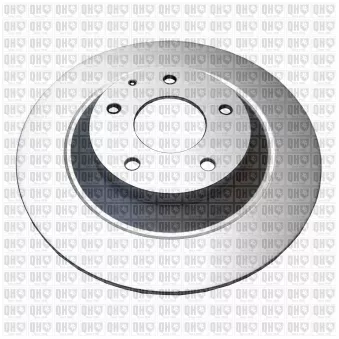 Jeu de 2 disques de frein arrière QUINTON HAZELL BDC6119