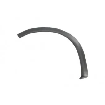 Baguette et bande protectrice, aile avant gauche BLIC 5703-08-5022375Q