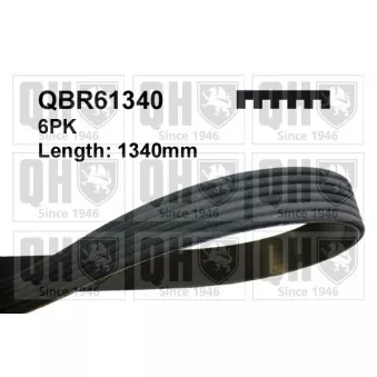 Courroie trapézoïdale à nervures QUINTON HAZELL QBR61340