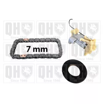Kit de distribution par chaîne QUINTON HAZELL QCK133