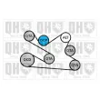 Jeu de courroies trapézoïdales à nervures QUINTON HAZELL QDK135 - Visuel 2