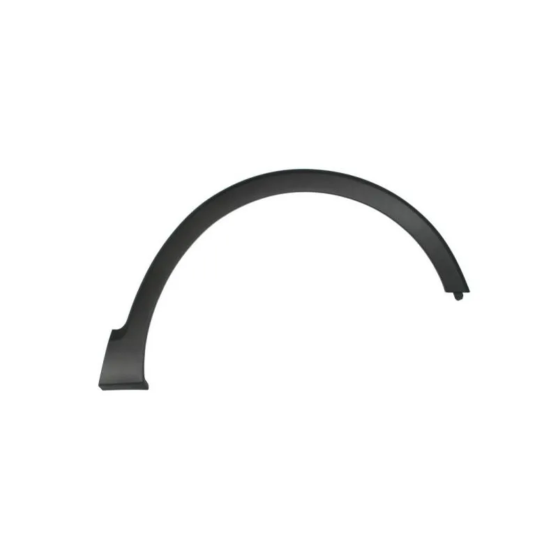 Baguette et bande protectrice, aile avant droit BLIC 5703-08-6003374P