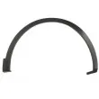 Baguette et bande protectrice, aile avant droit BLIC 5703-08-6090376P - Visuel 1