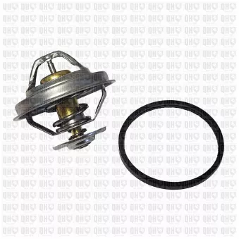 Thermostat d'eau QUINTON HAZELL QTH488K