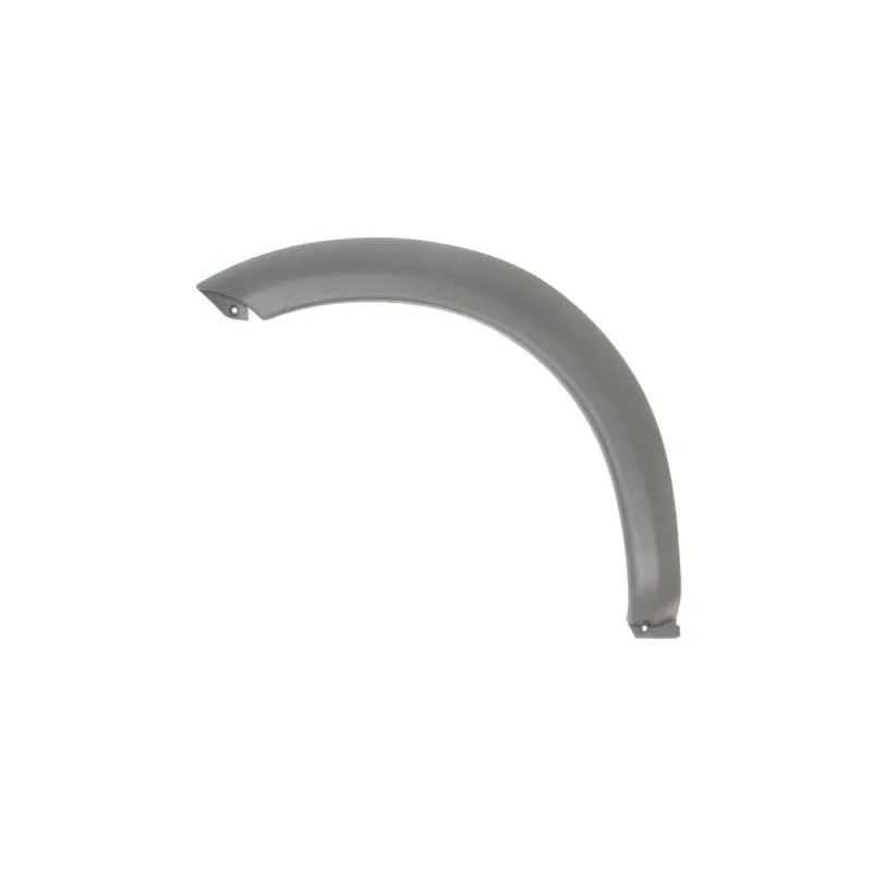 Baguette et bande protectrice, aile avant droit BLIC 5703-08-6425376P